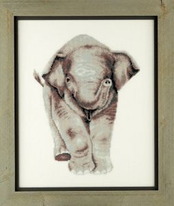 Embroidery kit young elephant