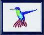 borduurpakket kolibrie
