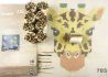 DIY Giraffe kop hanger knooppakket