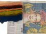 DIY wollen kussen borduurpakket Mexicaanse Artiest voorbedrukt.