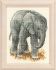 embroidery kit elephant