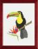 embroidery kit toucan