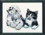embroidery kit young dalmation and sweet kitty
